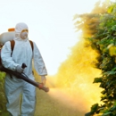 Advanced Pest Control - Termite Control