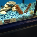 Jurassic Pets - Pet Stores