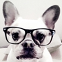 Frenchie Couture/ Pour Mon Amour, Inc.