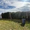 E.E.S. Tree Service gallery
