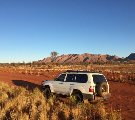 Bush Bee - Ciccone, NT