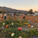 DD Ranch