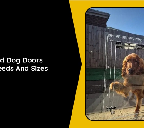 Geelong Cat & Dog Doors - Rippleside, VIC. Specialised Dog Doors For All Breeds And Sizes