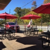 Captain Paul's Firehouse Dogs gallery