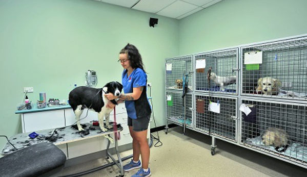 North Bundaberg Vet Surgery - Bundaberg North, QLD