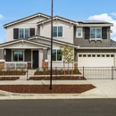 Rosemary Grove at Lagoon Valley - Taylor Morrison