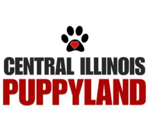 Central Illinois Puppyland - Arthur, IL