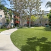 White Oak Terrace Apartments gallery