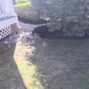 Eclipse Exterior Cleaning - Gutters & Downspouts