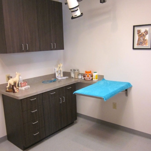 HEAL Veterinary Hospital and Pet Rehabilitation - Dallas, TX