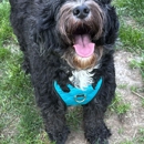 Sensible Pet Care Services - Pet Services