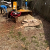 RC Tree Services Pro gallery