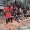The Wood Doctor Tree Service gallery