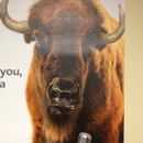 Frontier Communications - Telecommunications Consultants