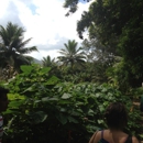 Ulupo Heiau State Monument - Places Of Interest