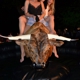 Boss Mechanical Bull Sales & Rentals