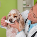 Larry R. Scott, DVM - Veterinary Clinics & Hospitals