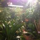 Plant Warehouse - Plants