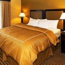 Comfort Suites McDonough Atlanta South - Motels