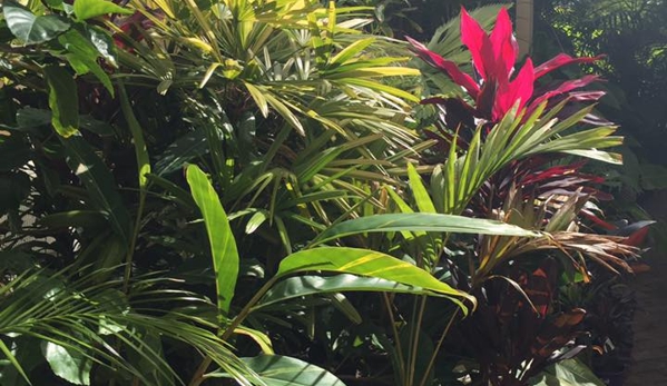 Premier Palms Nursery - Mariginiup, WA