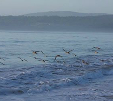 Sapphire Coast Funerals