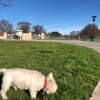 Z Bonz Dog Park gallery