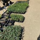 Tapia Brothers Farm - Fruit & Vegetable Markets
