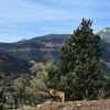 Cave of the Winds Mountain Park gallery