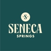 Schell Brothers at Seneca Springs gallery