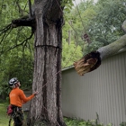Tree Pros