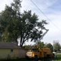 Madison County Tree Service .