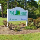 Pine Forest Apartments - Apartments