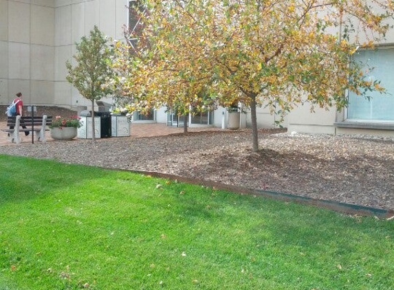 University Library - Indianapolis, IN