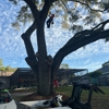 Spring Hill Tree Specialists gallery