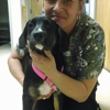 Fort Washington Veterinry Hospital gallery