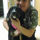 Fort WA Veterinary Hospital