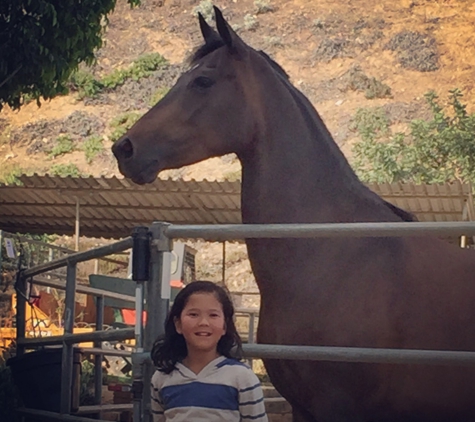 Rushton Stables LA - Sylmar, CA