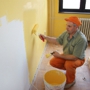 Lgf Professional Painters