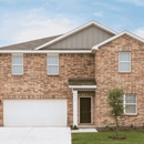 Harrington Trails at the Canopies By Starlight Homes