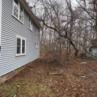 White Oak Tree & Landscaping