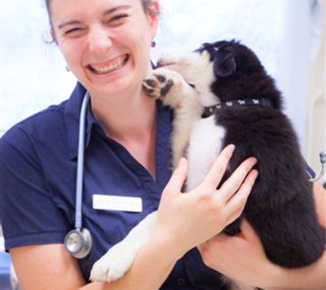 Seymour Veterinary Surgery - Seymour, VIC