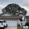 Reliable Tree Service gallery