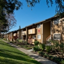 Shadow Oaks Apartment Homes - Apartments