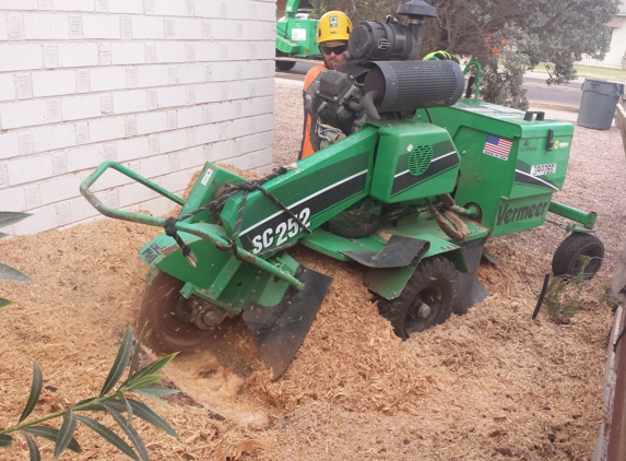 Arborist Standards Tree Care - Cottonwood, AZ. #stumpremoval
#stumpgrinding