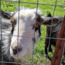 Wise Acre Farm - Farms