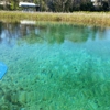 Rainbow Springs State Park gallery