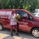 Wildflower Florist & Flower Delivery - Flowers, Plants & Trees-Silk, Dried, Etc.-Retail