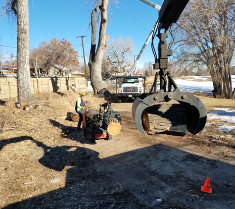Arbortec Tree Service - Broomfield, CO. Winter removals- good stuff!