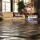 Temecula Restoration Experts - Floor Materials