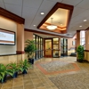 MSP Commercial gallery